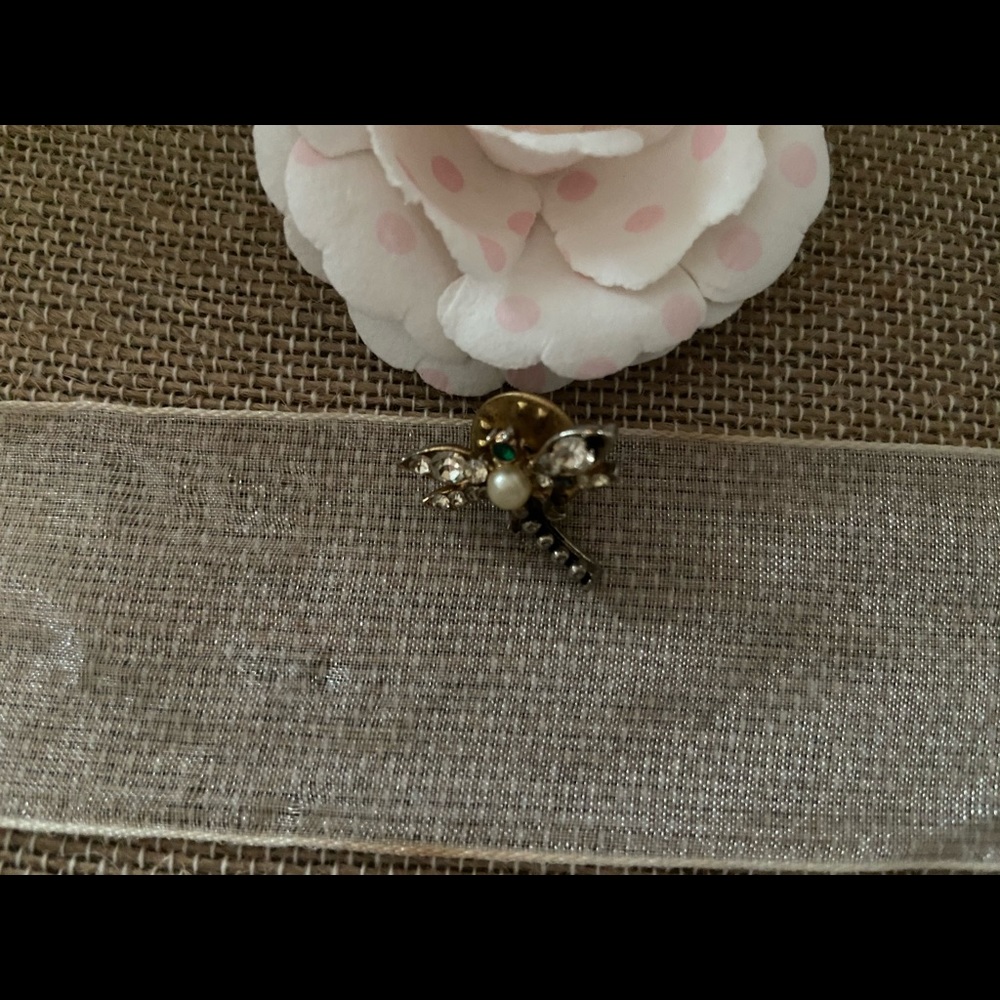 🌺 Dragon-fly pin